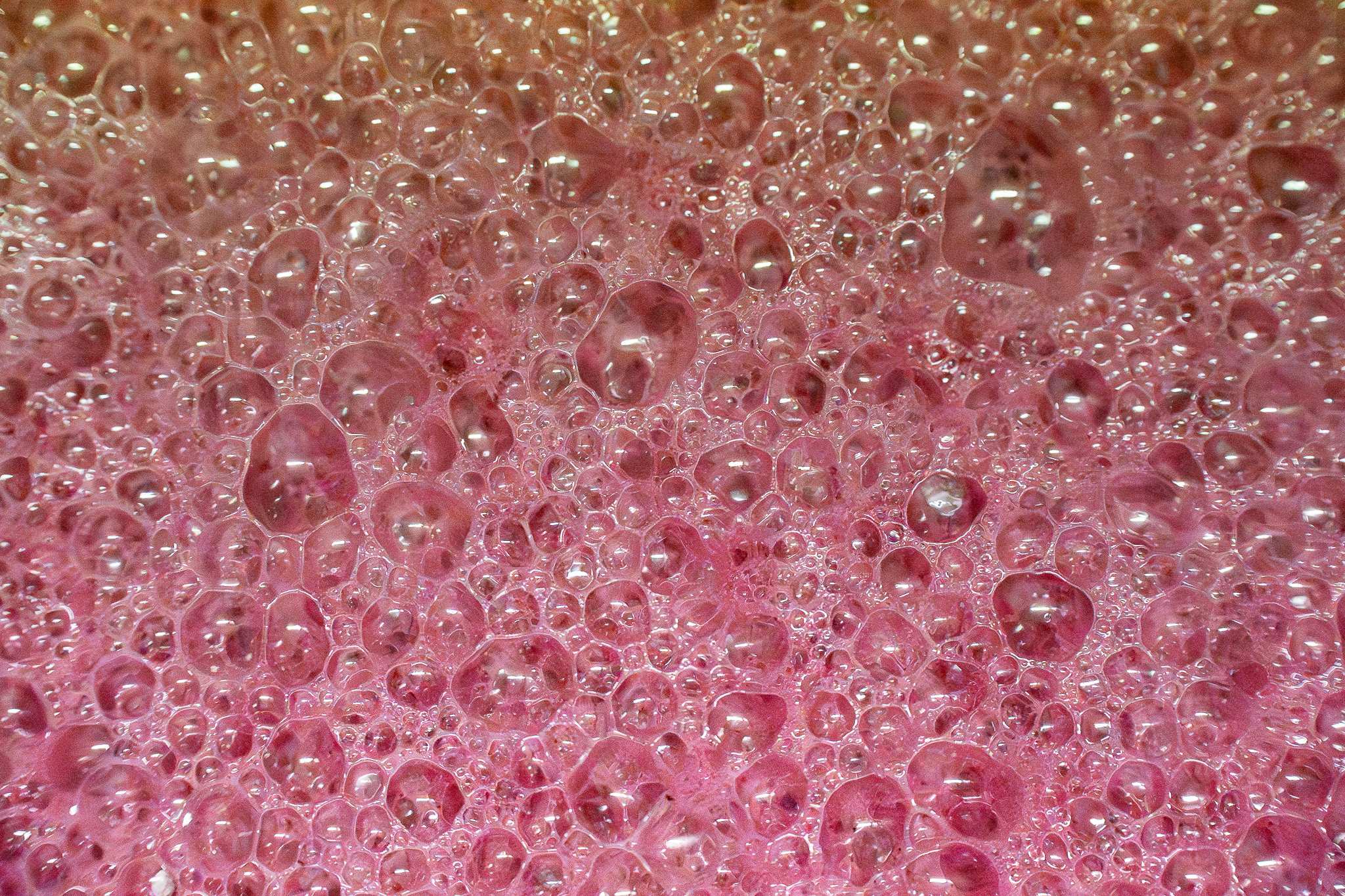 Schiuma di mosto in fermentazione naturale, vinificazione artigianale Barbera