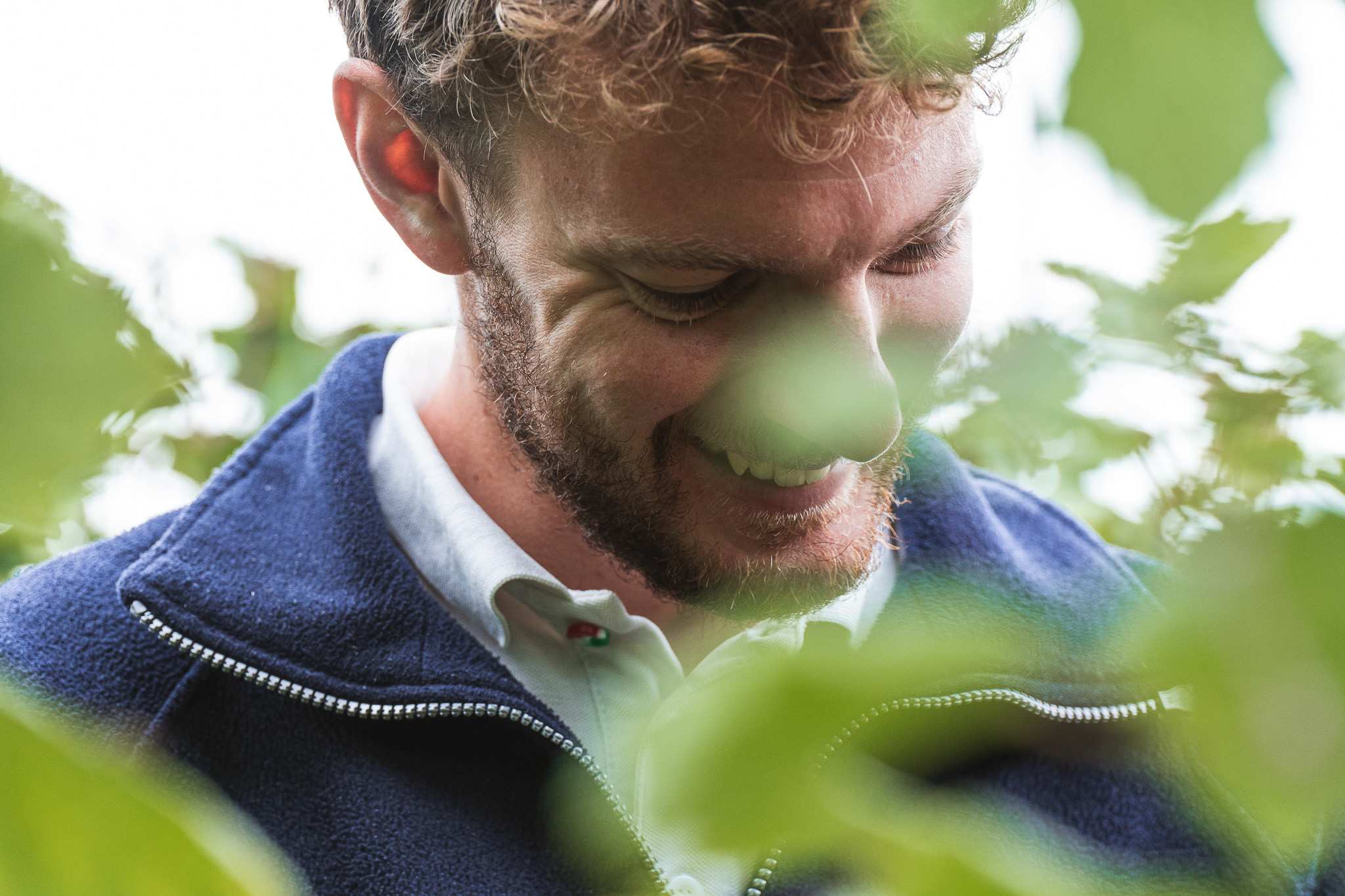 Volto sorridente tra le foglie di vite durante la vendemmia del Grignolino a Rocchetta Tanaro, Scarzella